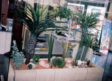 teca agenzia viaggi